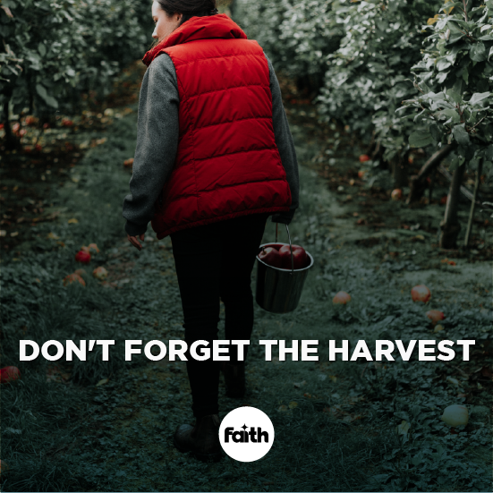 Don’t Forget the Harvest