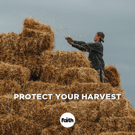 Protect your Harvest