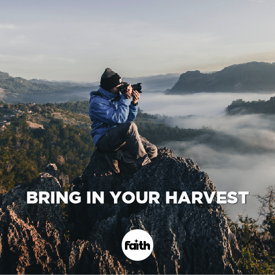 Bring in Your Harvest
