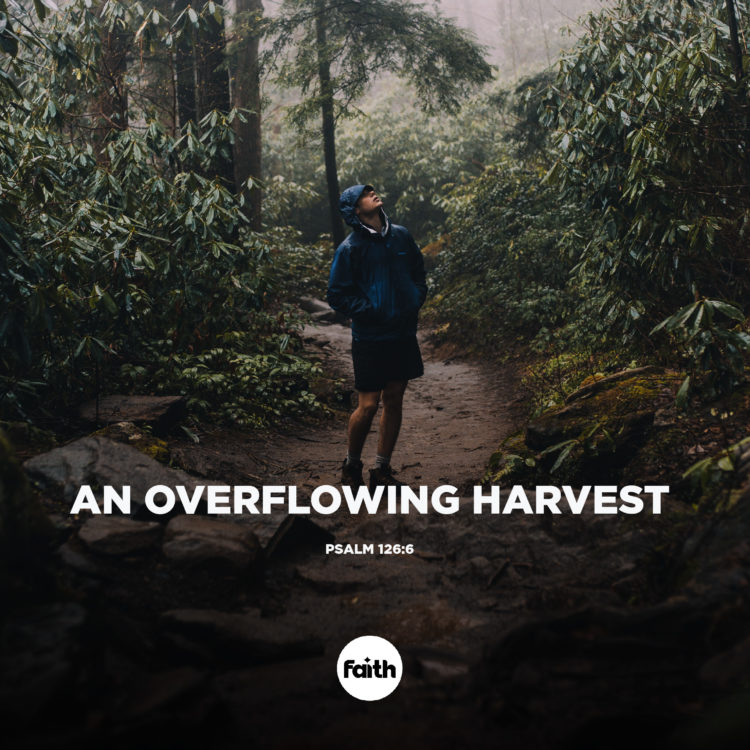 An Overflowing Harvest