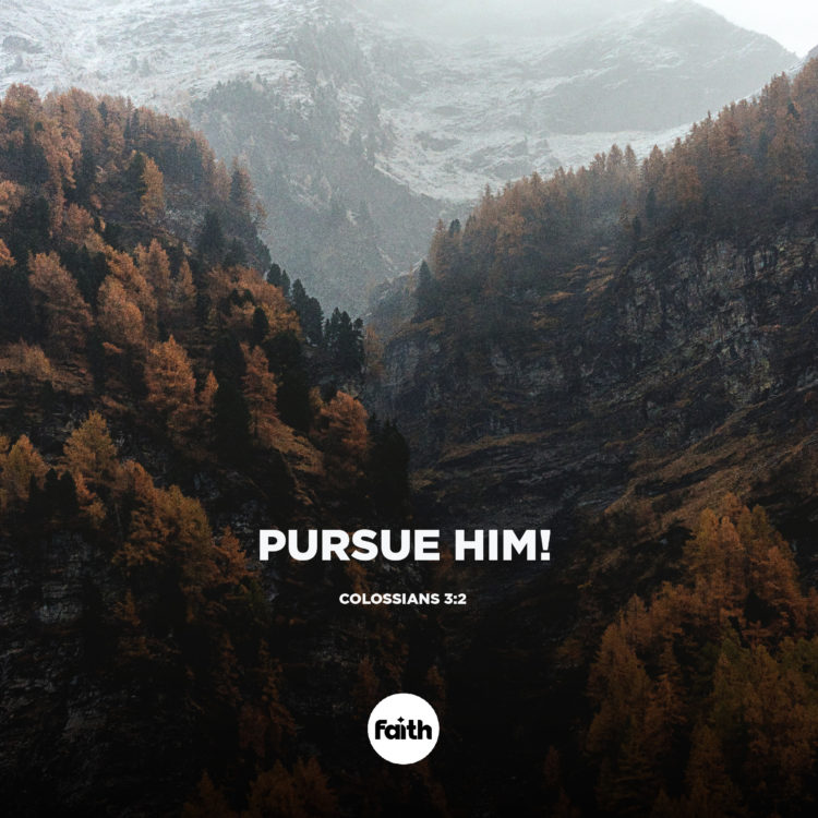 Pursue Him!