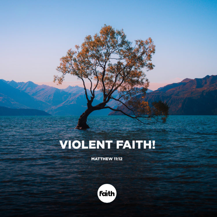 Violent Faith!