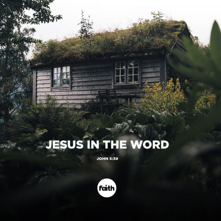 Jesus in the Word