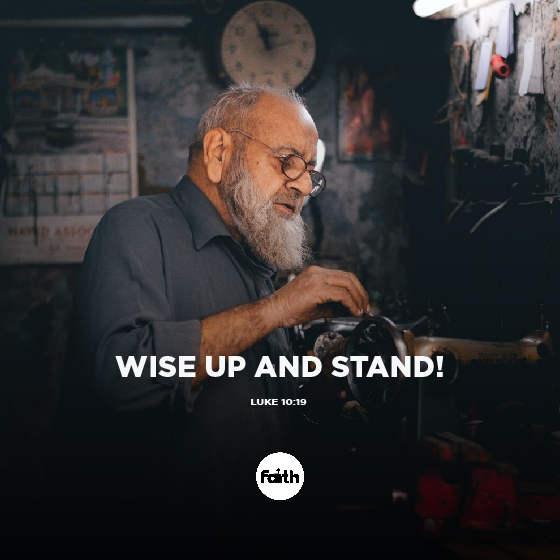 Wise Up and Stand!