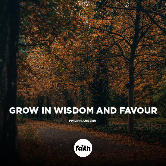 Grow in Wisdom and Favour