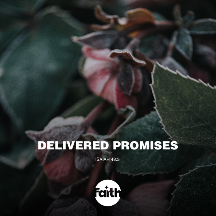 Delivered Promises