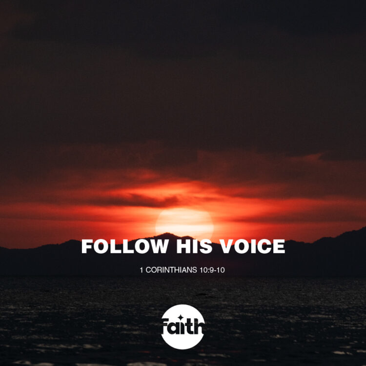 Follow His Voice