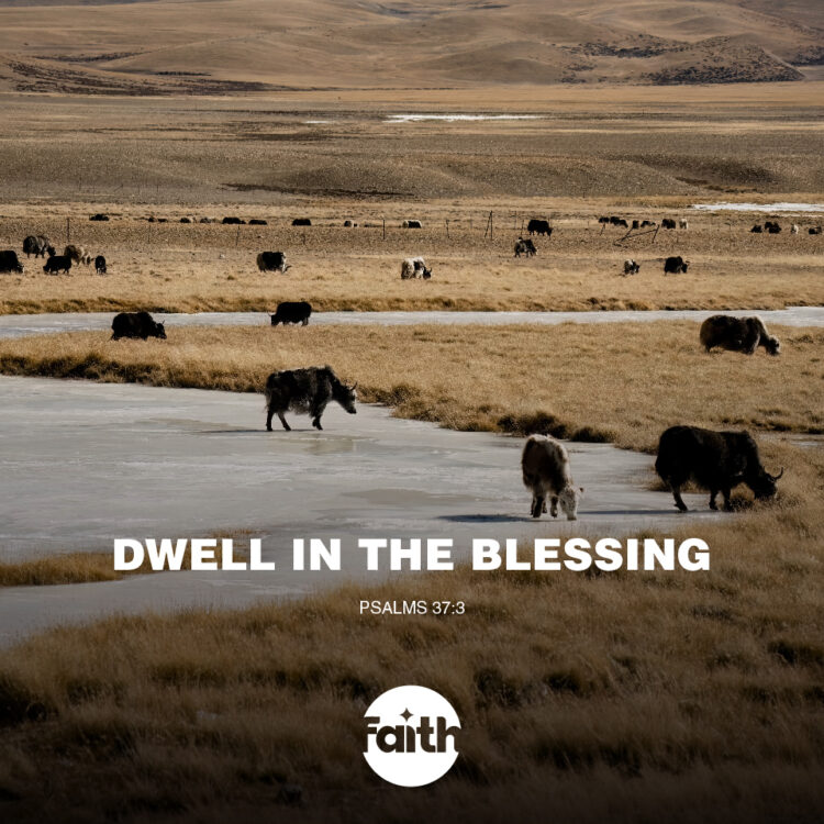 Dwell in the Blessing