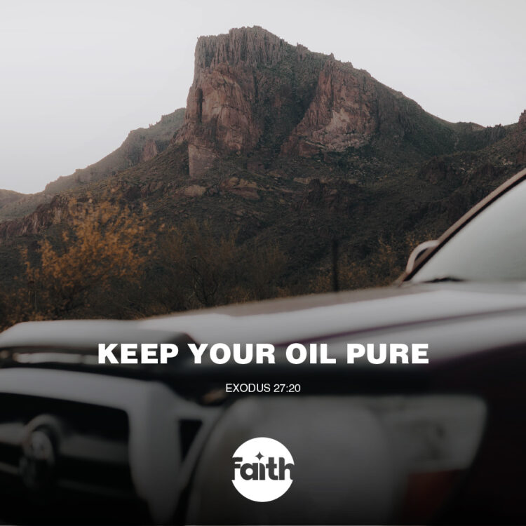Keep Your Oil Pure