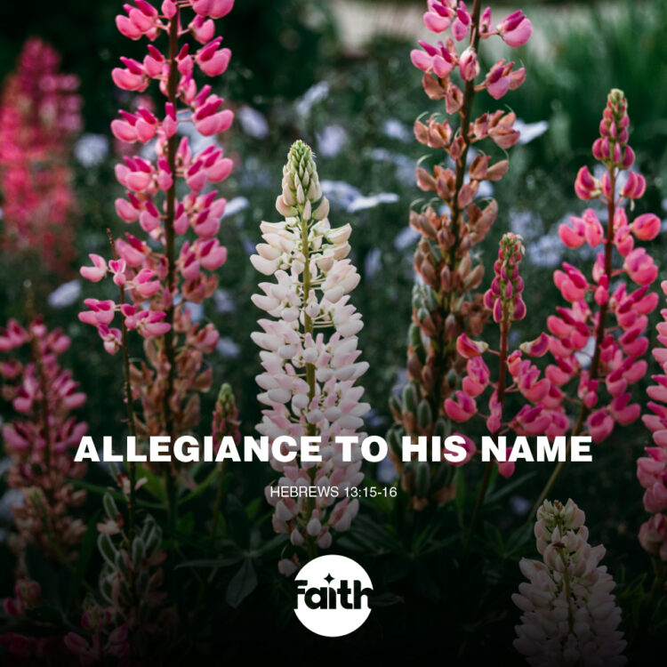 Proclaim Allegiance to His Name