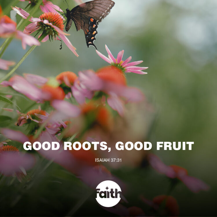 Good Roots Produce Good Fruit