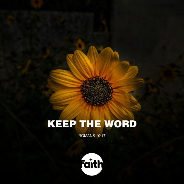 Keep the Word