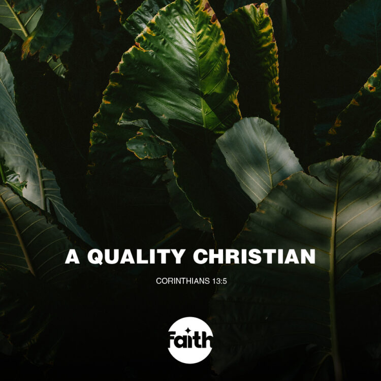 A Quality Christian