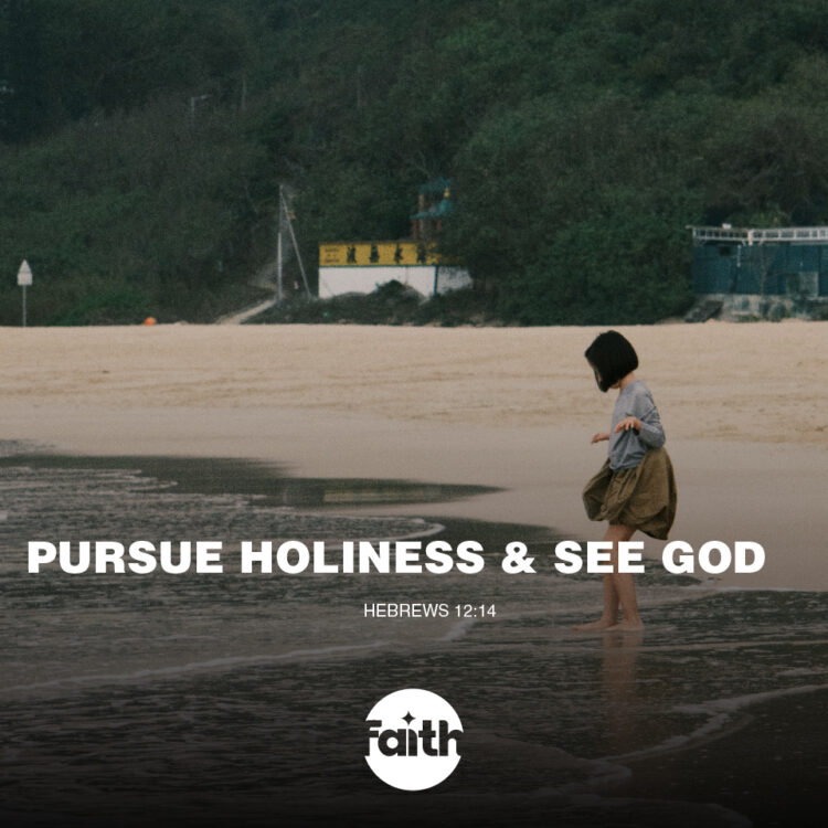 Pursue Holiness and See God