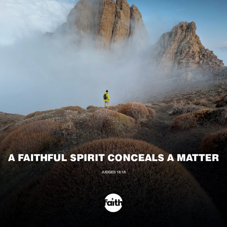 A Faithful Spirit Conceals a Matter