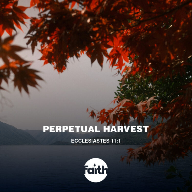 Perpetual Harvest