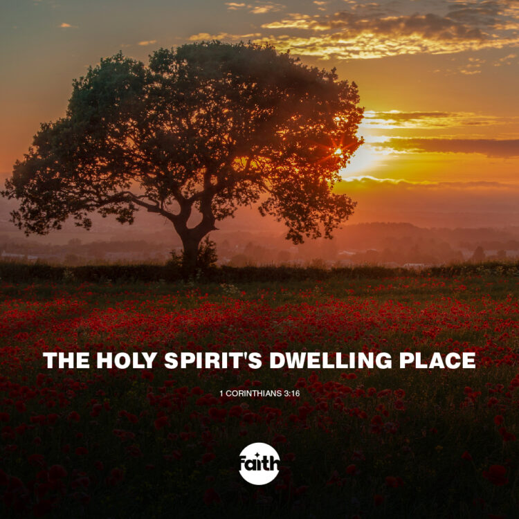 The Holy Spirit’s Dwelling Place